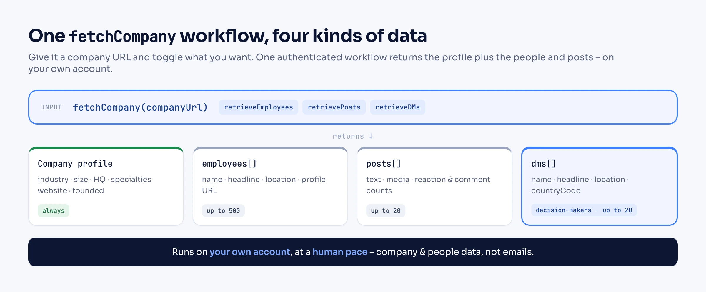 Diagram: one fetchCompany workflow returns four kinds of data. A company URL feeds fetchCompany, with retrieveEmployees, retrievePosts, and retrieveDMs toggles, fanning out to four output cards: Company profile (industry, size, HQ, specialties, website, founded); Employees array (name, headline, location – up to 500); Posts array (up to 20); and Decision-makers array (name, headline, location, countryCode – up to 20), highlighted as the differentiator. A footer notes it runs on your own account, at a human pace, returning company and people data, not emails.
